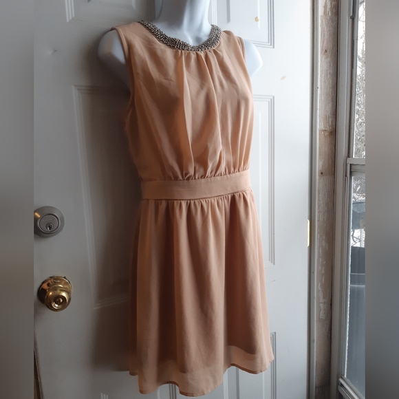 Pink Chiffon Dress - Picture 9 of 11